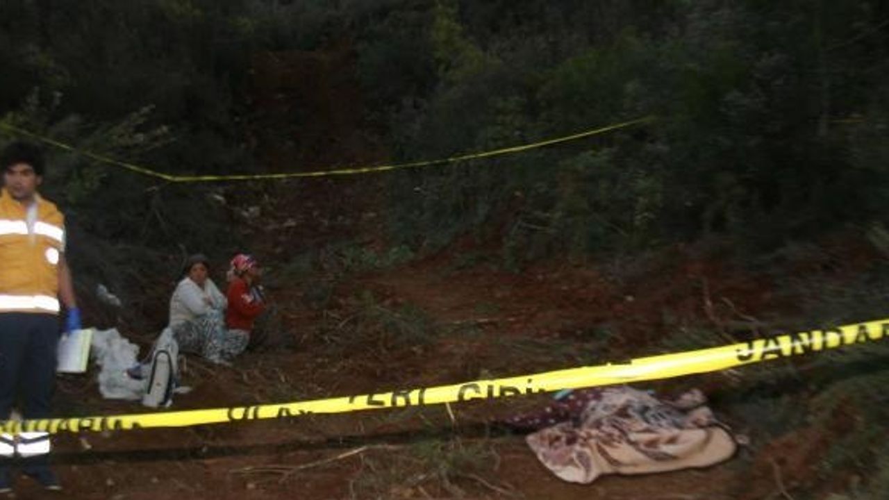 Accidents at several workplaces kill construction worker, woodcutter