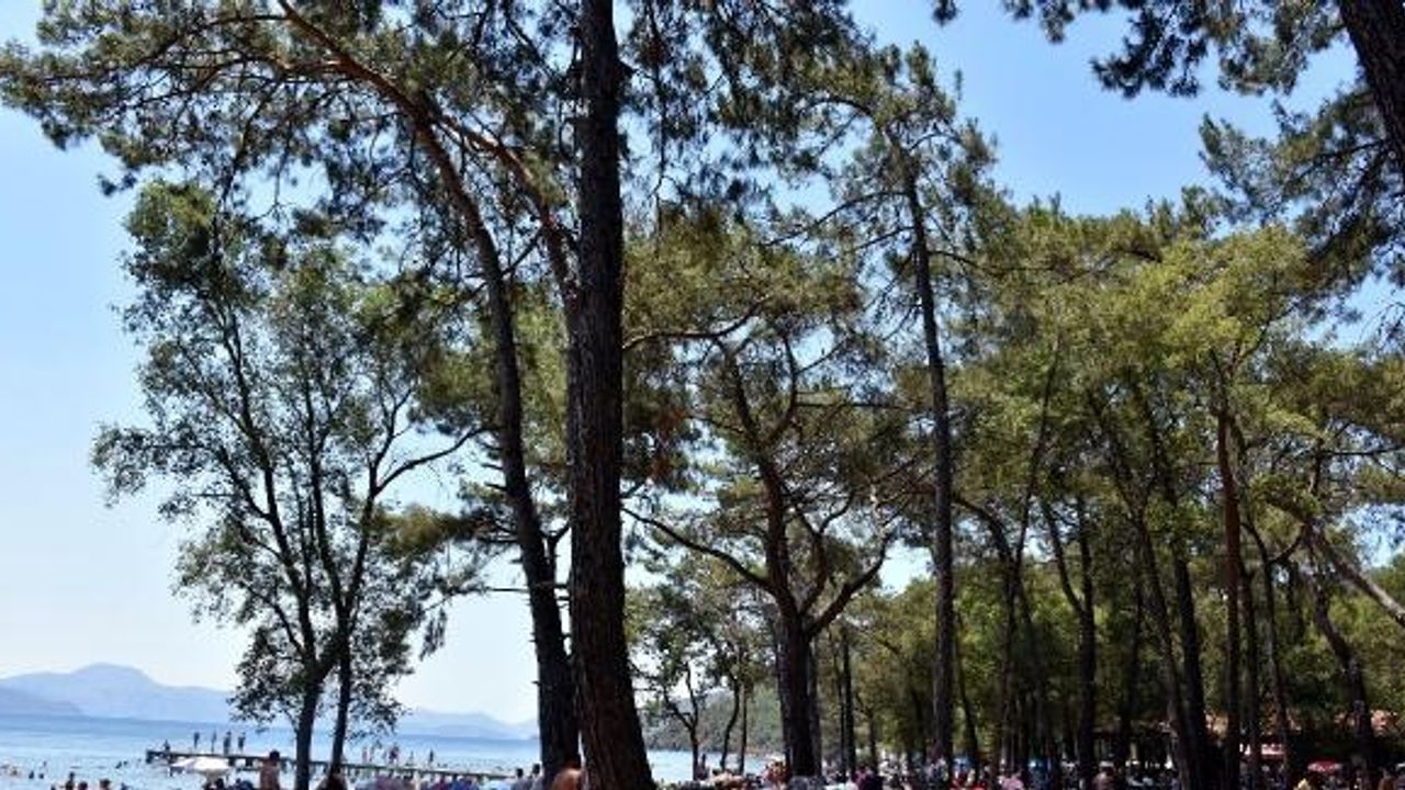 Çubucak Tabiat Parkı'nda doğayla baş başa tatil keyfi