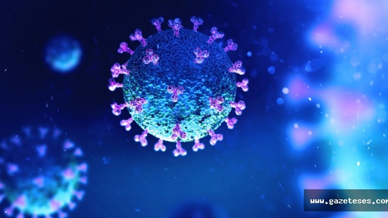 Türkiye'de koronavirüs 21 Haziran bilançosu