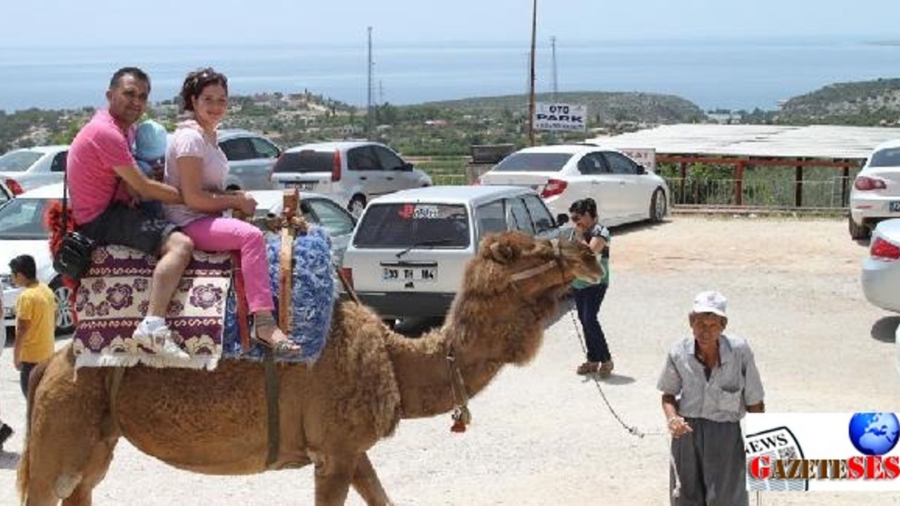Locals and foreign tourists enjoy donkey, camel riding tours in southeastern province