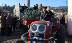 Eskişehir'de zeytincilik yaygınlaştırılacak... 17 bin Gemlik zeytin fidanı dağıtıldı