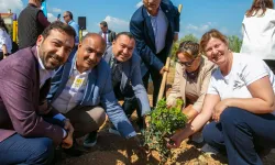 İzmir Güzelbahçe’de sakız ağaçları büyüyecek