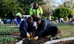 Antalya Muratpaşa'da Trafik Parkı çiçek bahçesine dönüştü