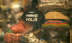 İstanbul'da dev operasyon! 560 kilogramdan fazla uyuşturucu madde ele geçirildi
