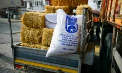 ABB'nin kırsal kalkınma destekleri sürüyor