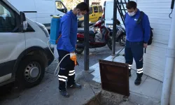 Antalya'da vektörel mücadele çalışmaları sürüyor