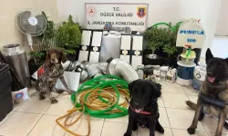 Düzce'de uyuşturucu operasyonu: 1 gözaltı