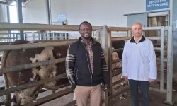 Kocaeli Büyükşehir mezbahasına örnek tesis vurgusu