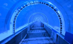 Kocaeli'de su altı dünyası yakında kapılarını açıyor