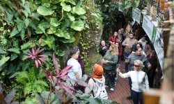 Konya Selçuklu'da Şeb-i Arus yoğunluğu