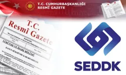 SEDDK'dan üç önemli düzenleme... Sigorta sektöründe finansal raporlama kuralları 2027'ye ertelendi