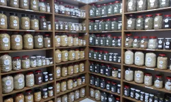 Muğla Büyükşehir'den 81 ile 22 milyon yerel tohum