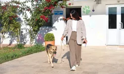 Antalya'da 'Satın alma, sahiplen' çağrısı