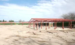 Bursa Yenişehir'de 'Hayvan Bakımevi Ve Doğal Yaşam Alanı' gün sayıyor