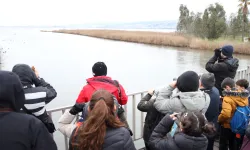 Doğanın en zarif misafirleri hayran bıraktı