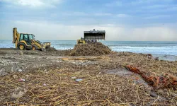 Mersin sahillerinde selin izleri siliniyor