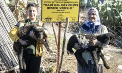 Mersin'de 'Hadi Gel Köyümüze Destek Verelim' projesi