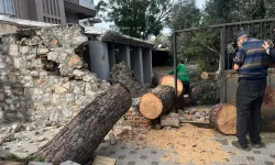 Muğla Milas'ta şiddetli fırtına sonrası anında müdahale