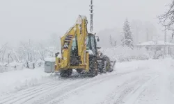 Ordu'da kar seferberliği! 472 mahalle yolu açıldı