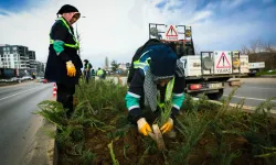 Bursa Büyükşehir'den cadde ve bulvarlara estetik dokunuş