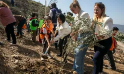 İzmir Güzelbahçe'de 1000 zeytin fidanı toprakla buluştu