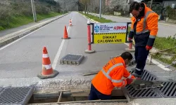 Kocaeli Büyükşehir'den etkin mücadele