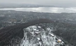 Sakarya'da göl koruma çalışmaları etkisini gösteriyor