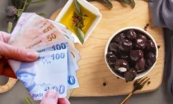 Zeytin üreticisine son dilim ödemelerin tarihi belli oldu