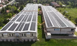 854 ton karbon salınımı önlenerek 34 bin ağaç korundu