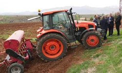 Adana'da Tufanbeyli çiftçisine çilek ve nohut desteği