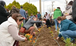 Balıkesir Büyükşehir'den tıbbı ve aromatik bitkiler yetiştiriciliği kursu