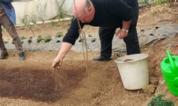 Bilecik Pazaryeri'nde tütün geçim kapısı oluyor