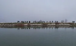 Bursa Nilüfer'de doğaseverler Mysia'nın izinde