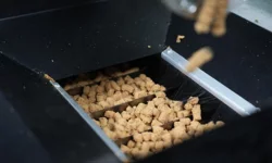 Eskişehir'de atık yemekler mama oluyor