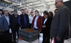 Eskişehir'de muhtarlar örnek projeleri inceledi