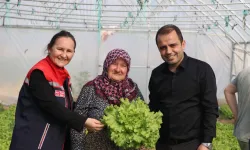 İpsala Esetçe'de 'Meryem Teyze' örneği... Yüzde 75 hibeli serada verimlilik artıyor