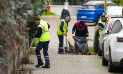 İstanbul Maltepe'de bahar seferberliği