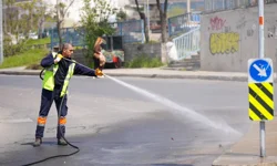 İstanbul Maltepe'de bahar temizliği hız kesmiyor