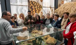 İzmir Bornova'da 'Dijital Torun' köprüsü