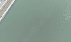 İzmir Körfezi'nde kirlilik endişelendiriyor! Aynı tehdit 11. kez görüldü