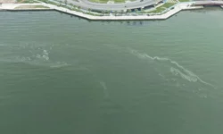 İzmir Körfezi'nde kirlilikte 10'uncu tespit