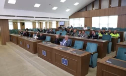 Ordu'da 3 ilçede toplu taşıma dönüşümü başlıyor