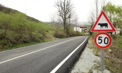 Ordu'da tamamlanan yollarda trafik güvenliği artırılıyor