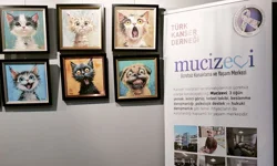 Sanatın iyileştirici gücü bu kez umutla buluşuyor