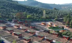 Tarım arazileri için yeni dönem! Amaç dışı kullanıma sıkı denetim