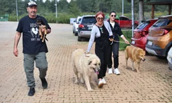 Antalya'da can dostlar sıcak yuvalarına kavuşuyor