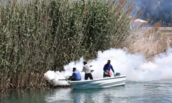 Antalya'da denizden karaya ilaçlama yapılıyor