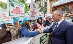 Avrupa'da eylem, Kocaeli'de şenlik var