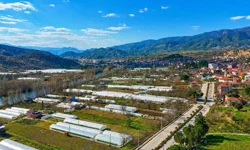 Eskişehir Sarıcakaya maden projesine yargı engeli