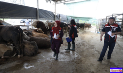 Kurban satış ve kesim yerlerine sıkı denetim...